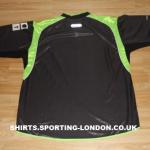 2001-2002 ALTERNATIVE SHIRT BACK