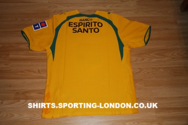 2006-2007 ALTERNATIVE SHIRT BACK