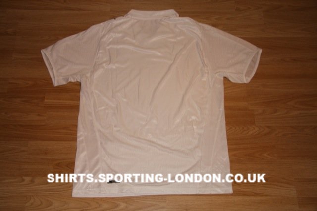 2008-2009 ALTERNATIVE SHIRT BACK