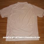 2008-2009 ALTERNATIVE SHIRT BACK