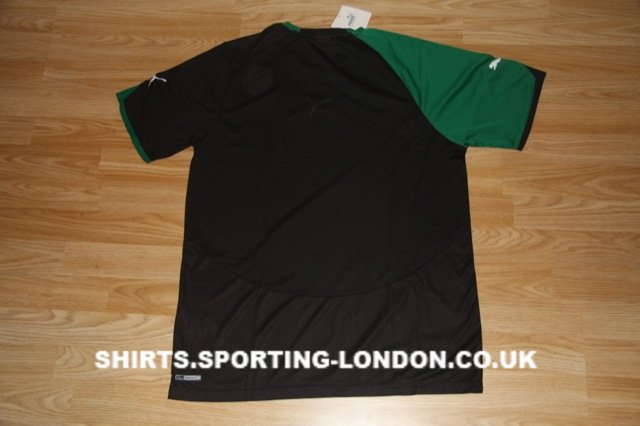 2010-2011 ALTERNATIVE SHIRT BACK