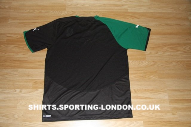 2010-2011 ALTERNATIVE SHIRT BACK