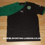 2010-2011 ALTERNATIVE SHIRT FRONT