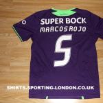 2013-2014 ALTERNATIVE SHIRT BACK