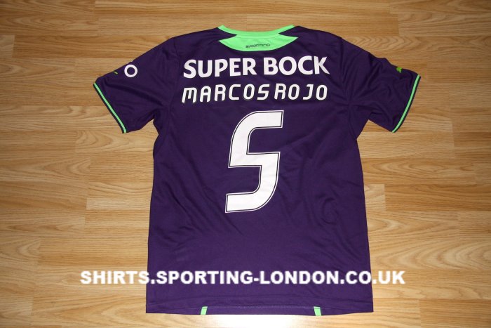 2013-2014 ALTERNATIVE SHIRT BACK