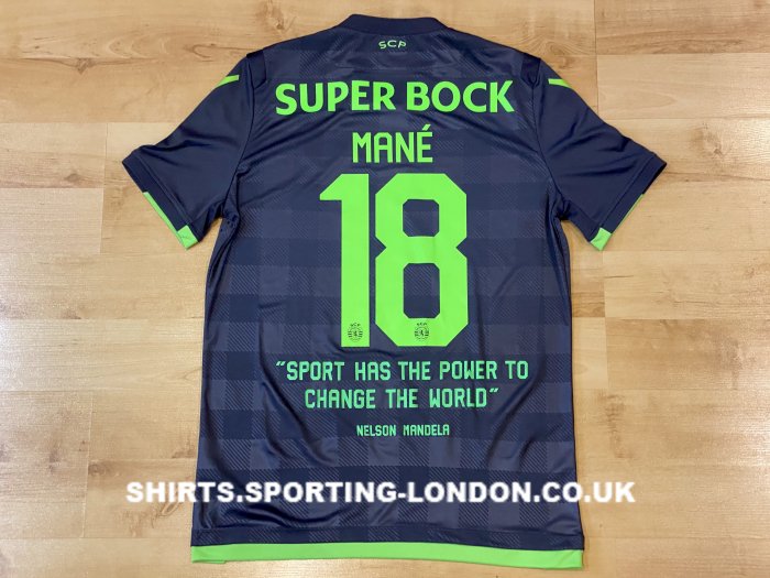 2018-2019 ALTERNATIVE SHIRT BACK